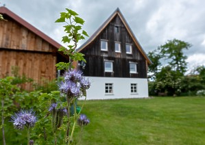 Foto bitte anklicken zum Vergrößern